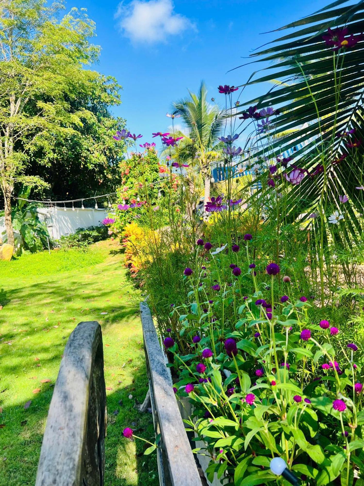 Ho Coc Park & Resort Xa Nhu Lam 외부 사진