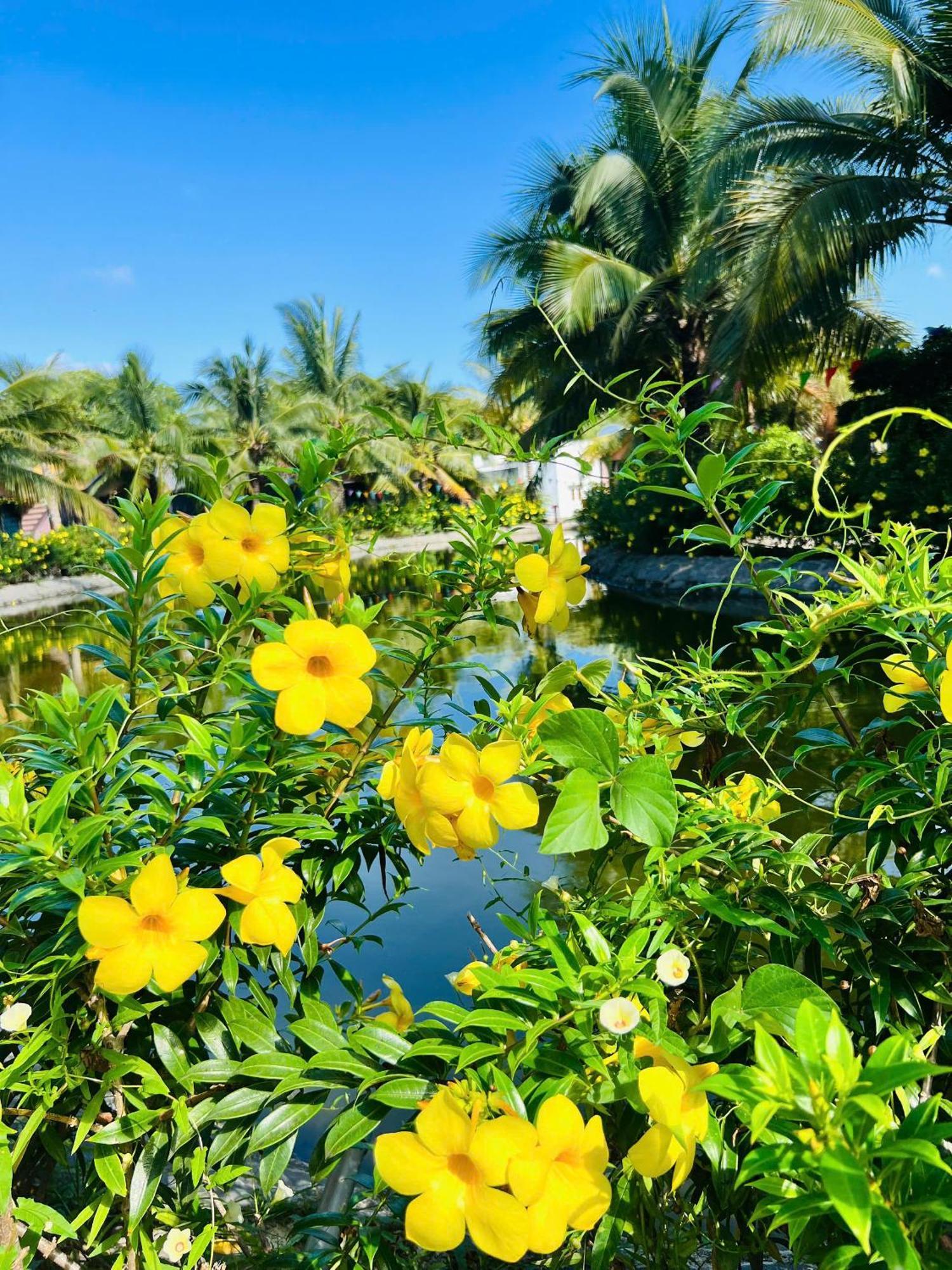 Ho Coc Park & Resort Xa Nhu Lam 외부 사진