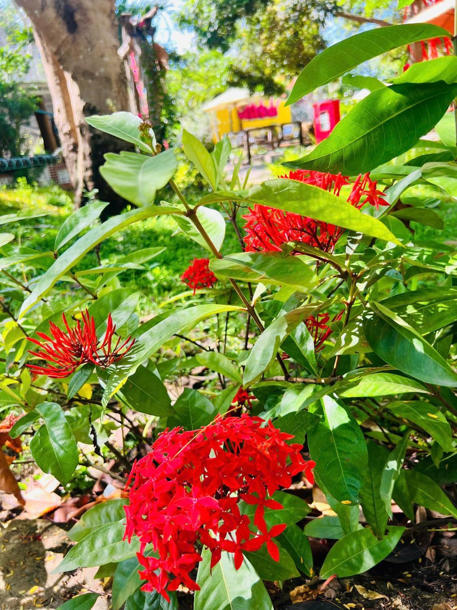 Ho Coc Park & Resort Xa Nhu Lam 외부 사진