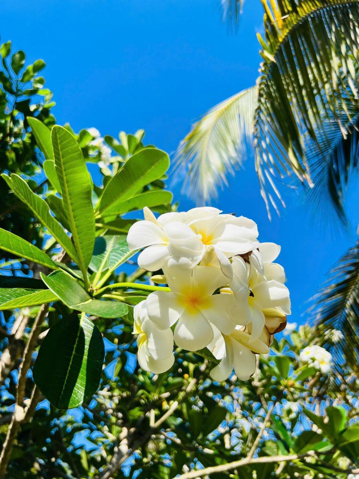 Ho Coc Park & Resort Xa Nhu Lam 외부 사진